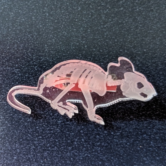 Jewelry - Transparent Rat Skeleton Pin Brooch NWOT Jewelry - Transparent Rat Skeleton Pin Brooch NWOT